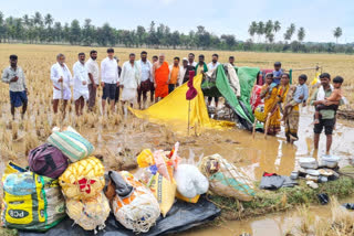 10 sheep deaths after a thunderbolt in davanagere