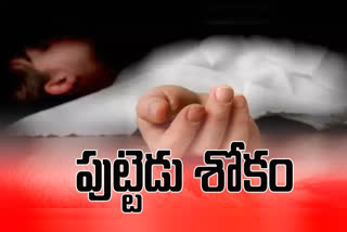 child died by hitting auto at karnool district, kanala