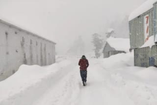 himachal pradesh, simla, snowfall