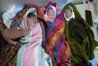 महिला ने तीन बच्चियों को दिया जन्म