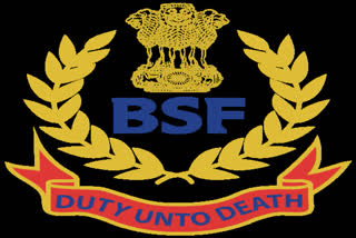 BSF hands over to Pak 6 youths who crossed border inadvertently