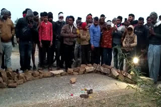 villagers started worshiping snake