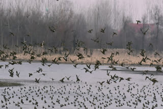 Many famous parks including Hauz Khas closed due to bird flu in delhi