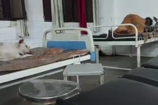 mirzapur divisional hospital viral video