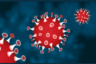 coronavirus