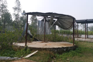 gram panchayat maholi funeral site