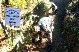 Bamboo plantation drive at the Indo Myanmar border by Assam rifles