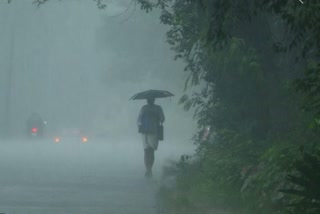 heavy rain in kerala  kerala rain upadate  kerala yellow alert  കേരളത്തിൽ കനത്ത മഴ  ഇന്ന് യെല്ലോ അലർട്ട്  കേരളം മഴ