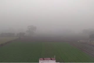Heavy fog in Neemuch after heavy rains