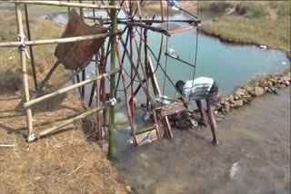 Odisha farmer invents irrigation system with bamboo, plastic bottles