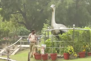 Gandhi Zoological Garden Management Alert