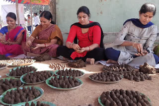 one crore gobbemma competition at surabhi goshala near chinchali village in nirmal district