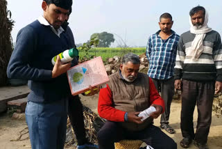 scorching disease in dholpur, Agriculture department team, Agriculture department team arrived, crop affected by scorching disease, crop affected by scorching disease in dholpur