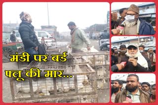 Business of Ghazipur murga mandi slowed down due to fear of bird flu infection