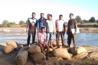 Farmer caught while bringing illegally paddy