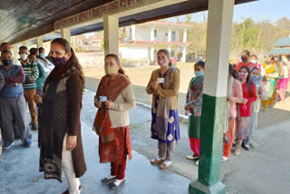 Votes cast in 50 not 48 wards in Mandi's urban body elections