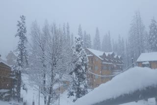 J&K: With heavy snowfall, Gulmarg attracts hordes of tourists to valley