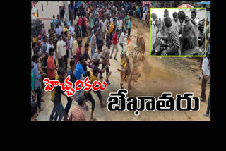 bull festival in  chittoor dist