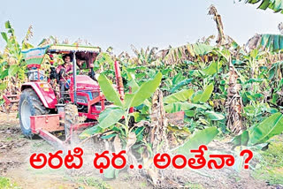 banana-farmers-problems-in-kurnool-district