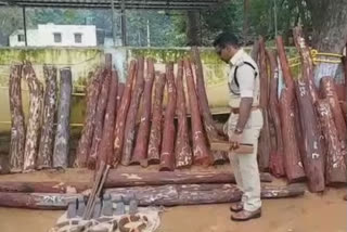 Kadapa sandalwood smuggle  Kadapa police news  international smuggler of sandalwood  Andhra Pradesh police sandalwood  അനധികൃതമായി രക്ത ചന്ദനം കടത്തൽ  17 പേർ പിടിയിൽ