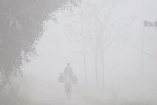 cold wave alert, minimum temperature drop in rajasthan, न्यूनतम तापमान में गिरावट, शीतलहर का अलर्ट जारी, jaipur latest news, rajasthan weather, राजस्थान का मौसम, जयपुर का मौसम