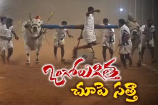 Ongole_Bulls_Competition