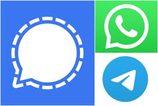 whatsapp-users-to-join-telegram-signal-applications