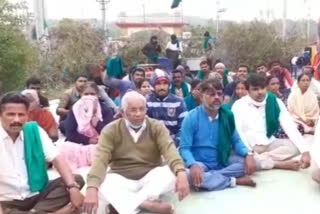 Farmers protested by tying cows to factory gates in Mysore