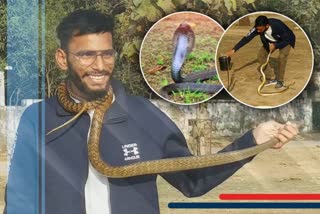 man saving the life of snakes and humans