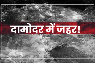 Damodar river water polluted with chemical of Bokaro Steel Plant