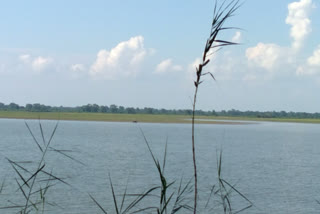 ভোগালীৰ মৎস‍্য চিকাৰত নিষেধাজ্ঞা নগাঁও জিলা প্ৰশাসনৰ