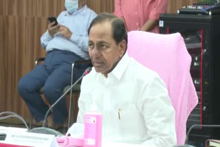 cm kcr said presently no bird flu in the state