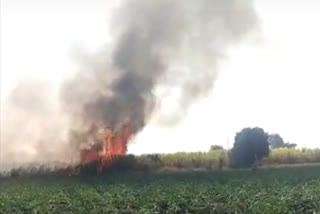 eight and a half acres of sugarcane burnt due to short circuit majalgaon taluka in beed