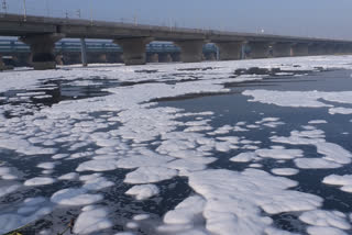 White foam is seen flowing continuously in Kalindi Kunj Yamuna delhi