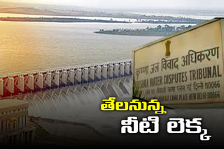 Krishna River Management Board Committee Meeting