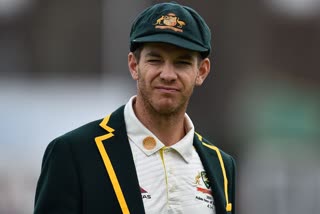 Skipper Tim Paine apologises for his behavior in SCG Test