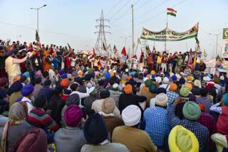 singhu border farmer suicide