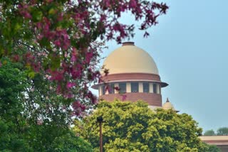 SUPREME COURT STAYS IMPLEMENTATION OF THREE FARMS LAWS UNTIL FURTHER ORDERS