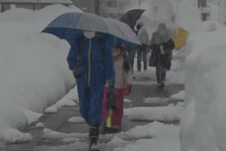 heavy snowfall kills 13 in japan