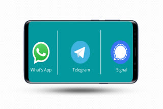 Which Chat App After WhatsApp, Signal or Telegram