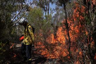 Threat from 'devastating' South Australian bushfire downgraded