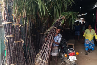 கரும்பு வியாபாரிகள்