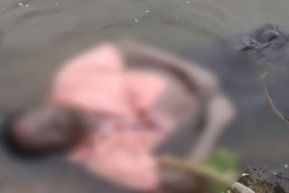 dead body found in lake