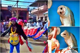 owl dance haveri temple music