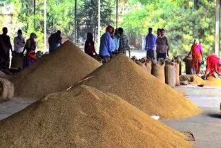 paddy purchase in chhattisgarh