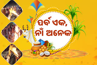 ଶୁଭ ମକର ସଂକ୍ରାନ୍ତି, ଆନନ୍ଦ ଉଲ୍ଲାସର ସହ ପାଳୁଛନ୍ତି ଲୋକେ