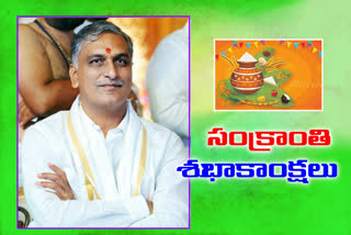 harish rao, sankranthi, medak