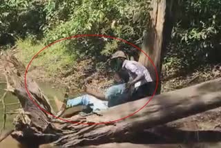 Close Shave for Snake Catcher While Catching King Cobra: Heartbreaking Video