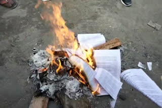 burned copies of agricultural law