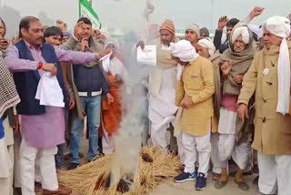 rohtak farmers protest